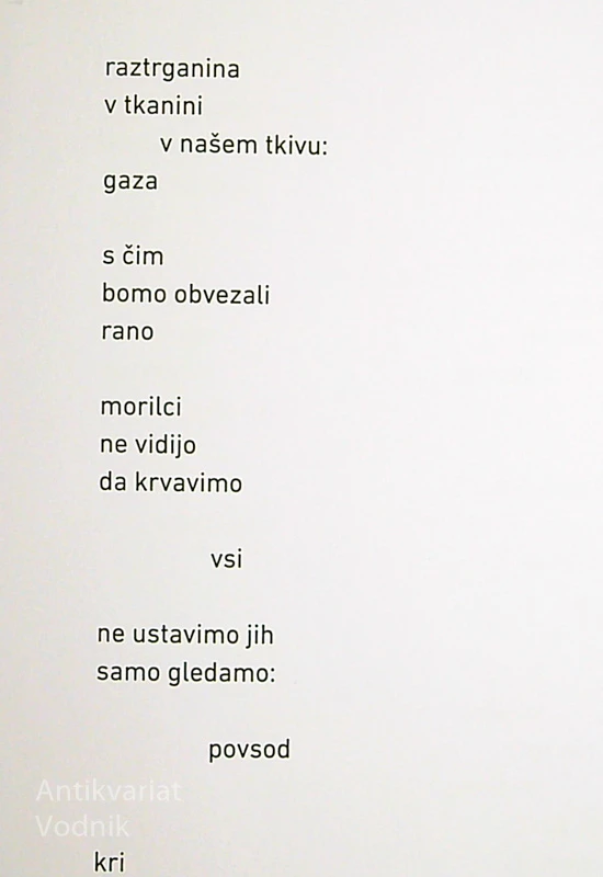 VNAZAJ, Barbara Korun