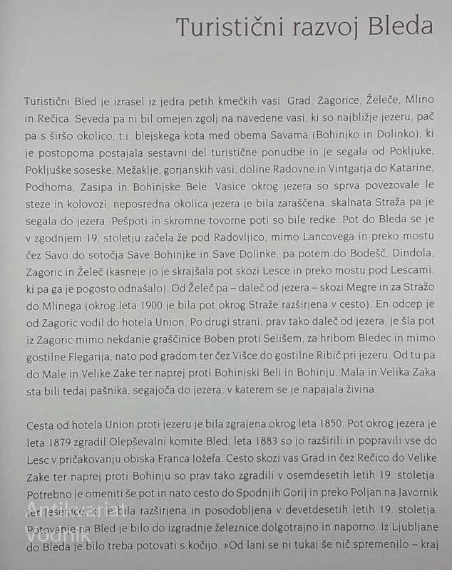 BLED V SONCU VES ŽARI, Božo Repe