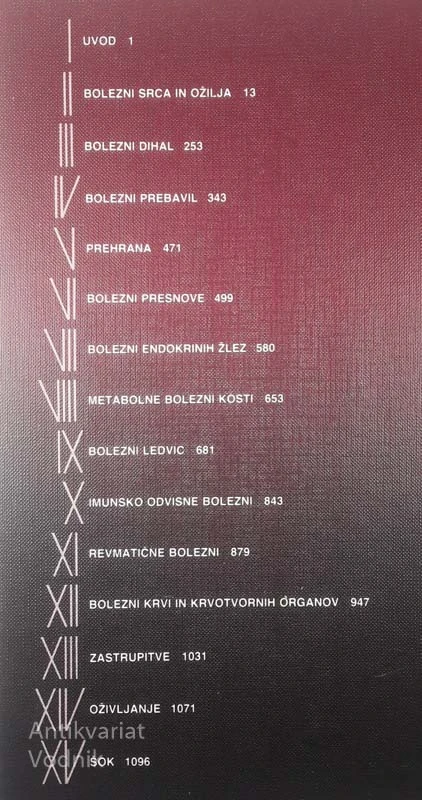 INTERNA MEDICINA, več avtorjev