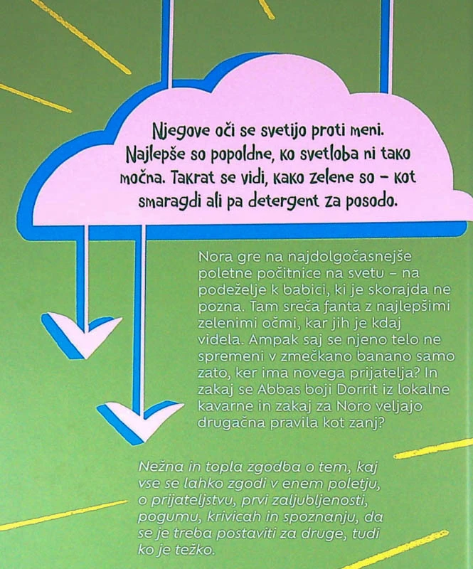 POLETJE, KO SE JE ZGODILO VSE, Iben Akerlie