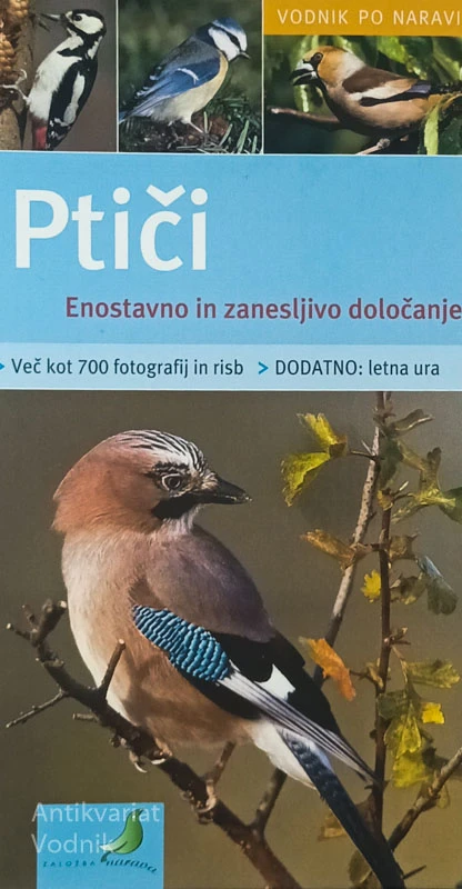 PTIČI; ENOSTAVNO IN ZANESLJIVO DOLOČANJE