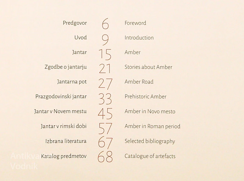 JANTAR; DRAGULJI BALTIKA V NOVEM MESTU, Borut Križ