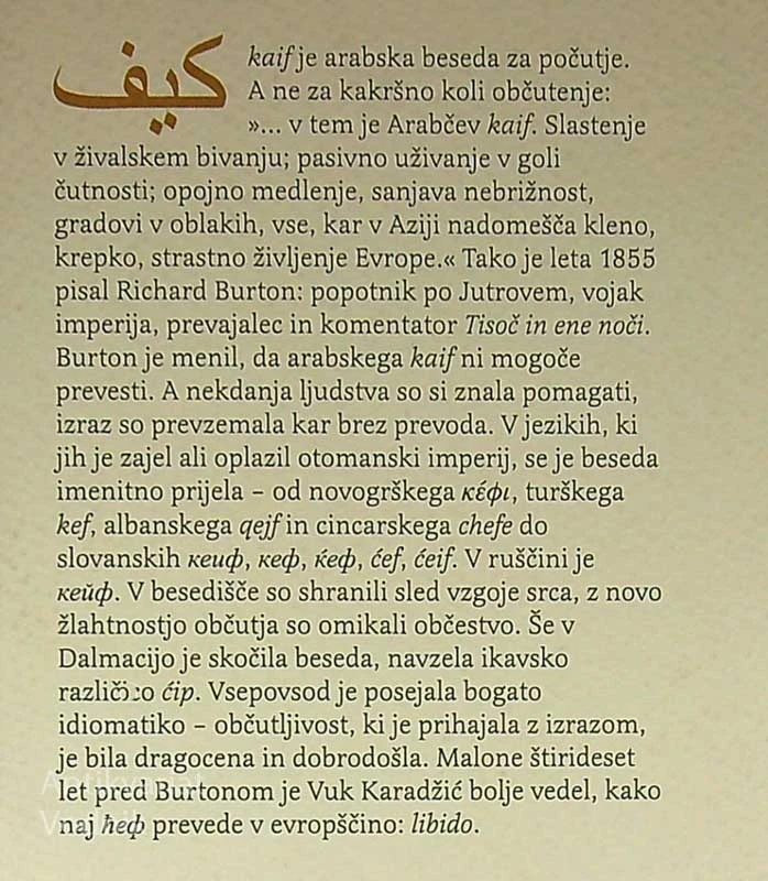 DEZORIENTALKA, Négar Djavadi