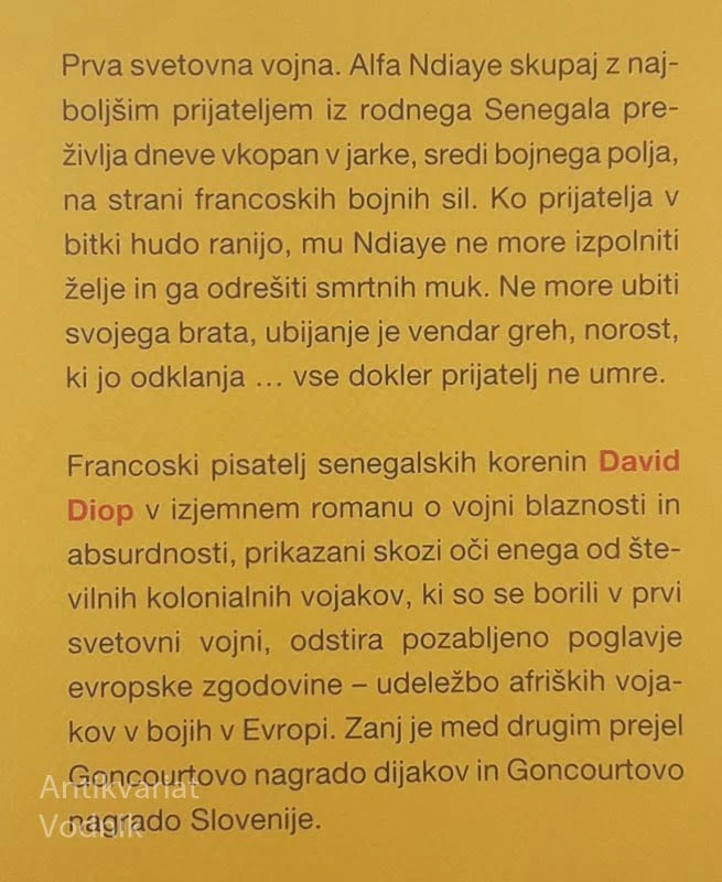 VEČ KOT BRATA, David Diop
