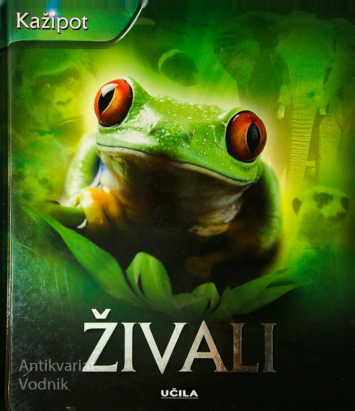 ŽIVALI, Miranda Smith