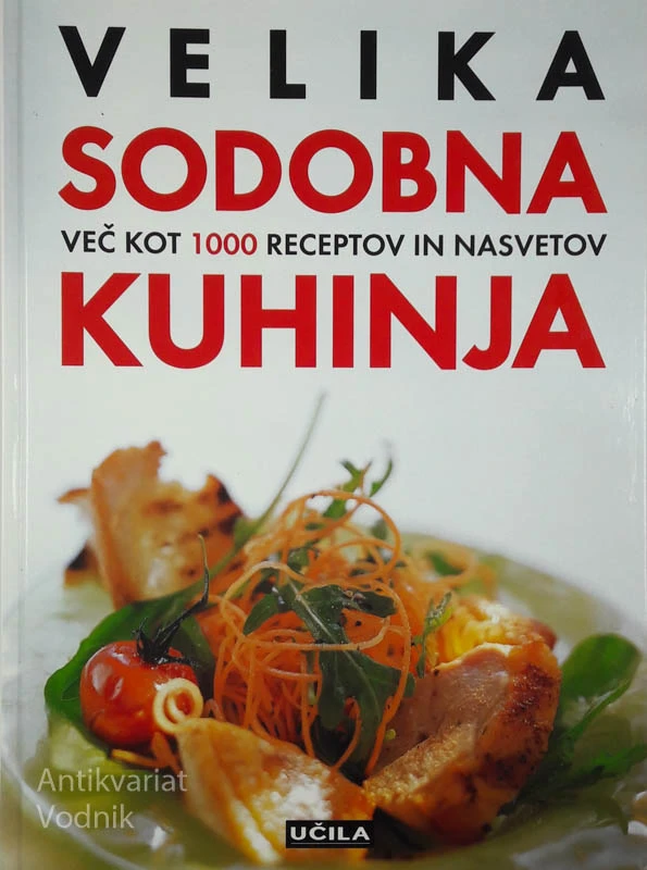 VELIKA SODOBNA KUHINJA: več kot 1000 receptov in nasvetov