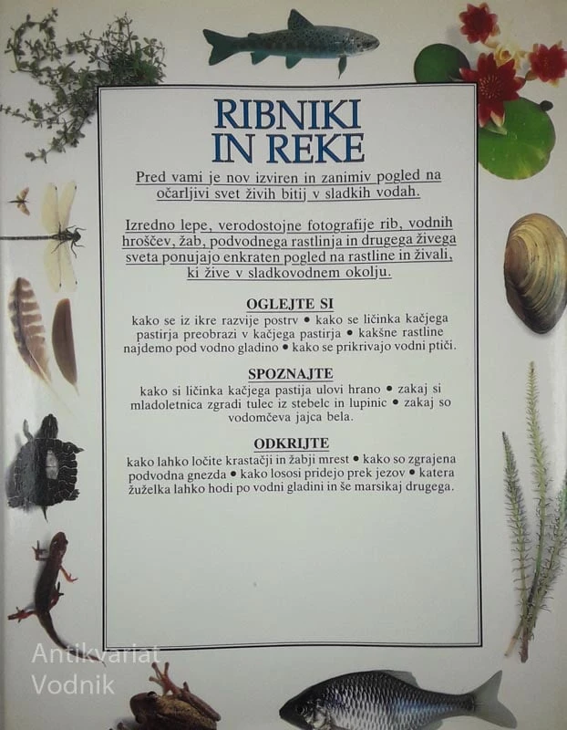 RIBNIKI IN REKE, Steve Parker