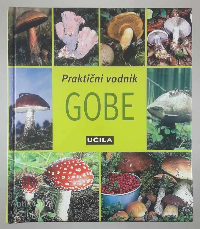 PRAKTIČNI VODNIK: GOBE