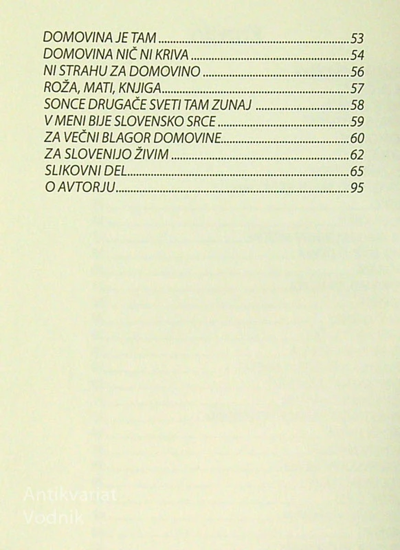 ZBUDI SE, SLOVENIJA!, Igor Pirkovič