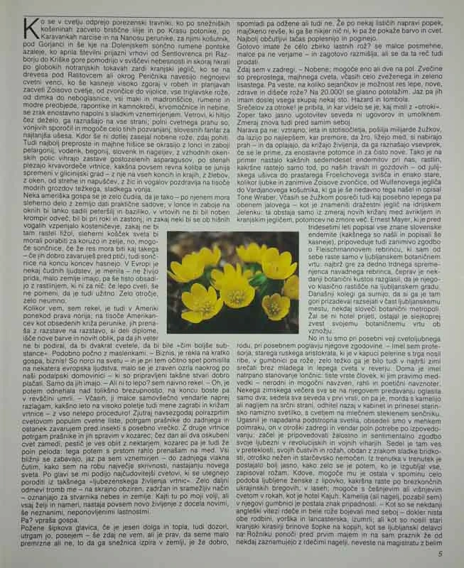 ROŽE NA SLOVENSKEM, Luka Pintar