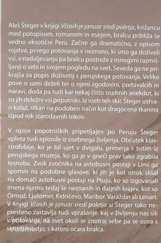 VČASIH JE JANUAR SREDI POLETJA, Aleš Šteger