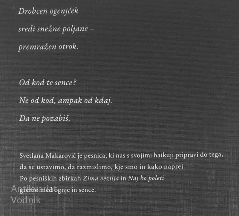 OGNJI IN SENCE, Svetlana Makarovič