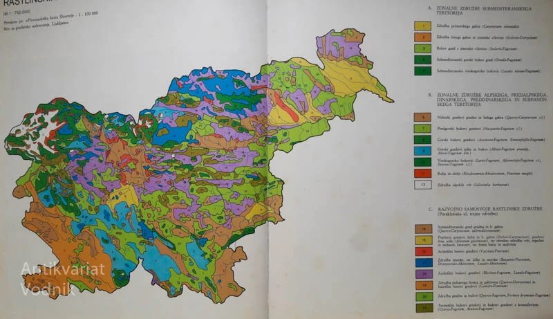 GOZDOVI NA SLOVENSKEM, uredil Ciril Remic