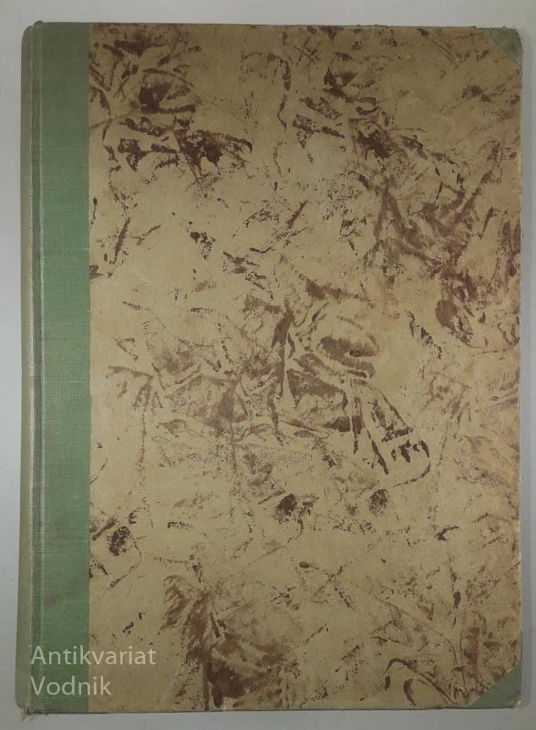 ROMANI (ŠTEVILKA 20 – 31)