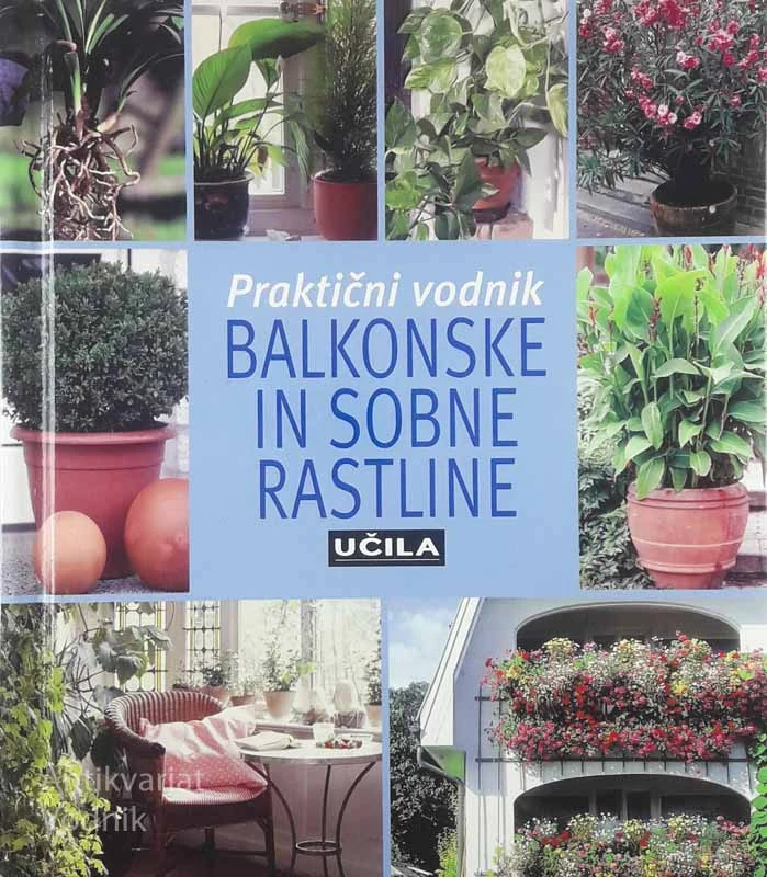 BALKONSKE IN SOBNE RASTLINE; PRAKTIČNI VODNIK, Andrea Rausch