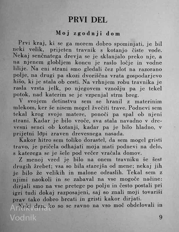 ČRNA LEPOTA Življenjepis nekega konja, Ana Sewell