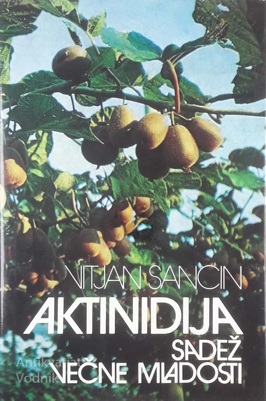 AKTINDIJA; SADEŽ VEČNE MLADOSTI, Vitjan Sancin