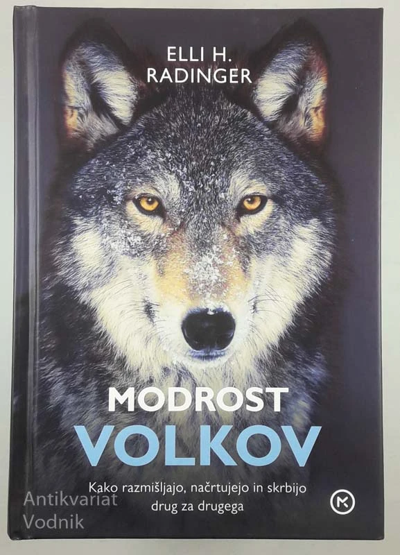 MODROST VOLKOV, Elli H. Radinger