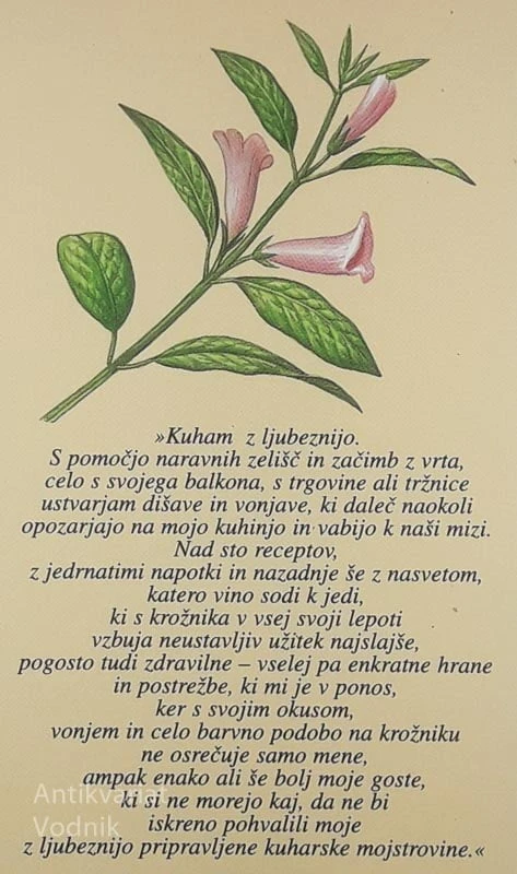 NARAVNE DIŠAVE MOJE DOBRE KUHINJE, Leo Codacci