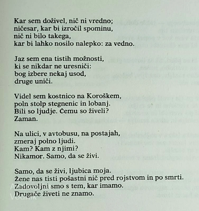 DAN DANAŠNJI, Ervin Fritz