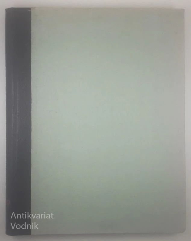 KRONIKA SLOVENSKIH MEST VI