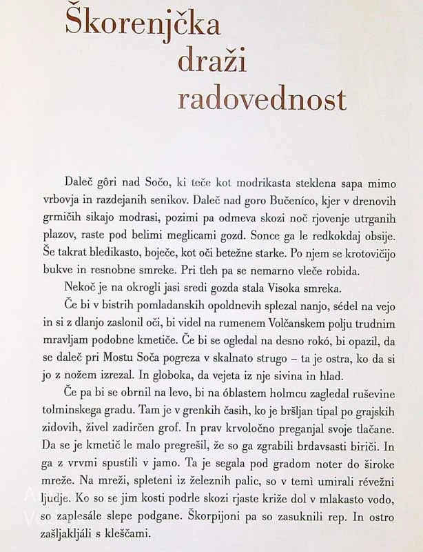 ŠKORENJČEK MATEVŽEK, Saša Vuga (ilustriral Gvido Birolla)