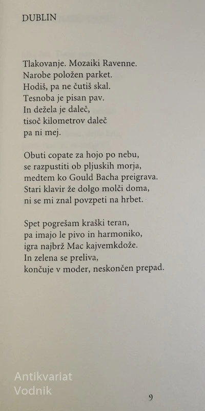 ČELO NA SONCU,  Lucija Stupica