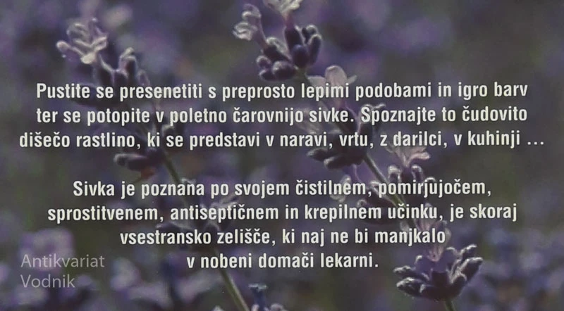SIVKA LEPO DOŽIVETJE, Eva-Marija Stadler in Isabel Wintterlin