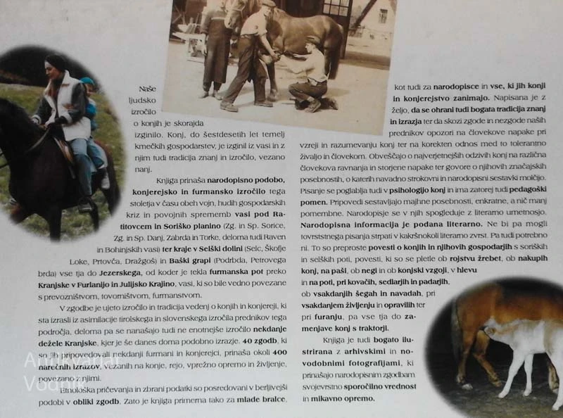 KONJI – NAŠE PRAVLJICE, Mira Omerzel Terlep pd Tavšova