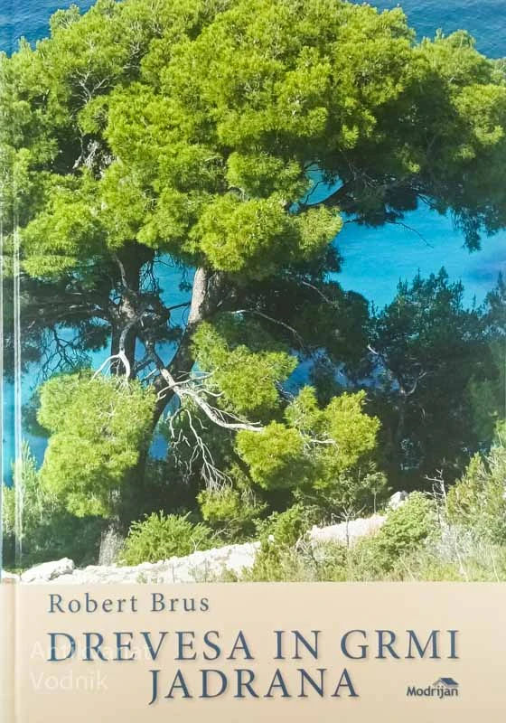 DREVESA IN GRMI JADRANA, Robert Brus