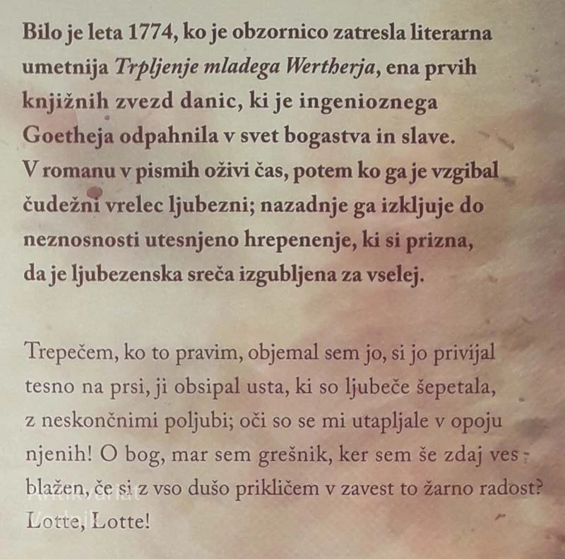 TRPLJENJE MLADEGA WERTHERJA, Johann Wolfgang von Goethe