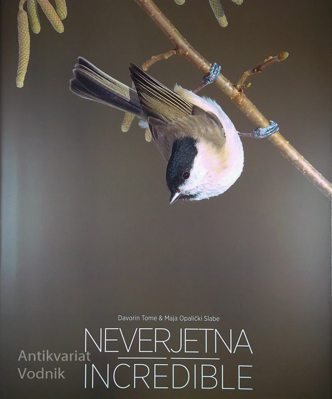 NEVERJETNA / INCREDIBLE, Davorin Tome in Maja Opalički Slabe