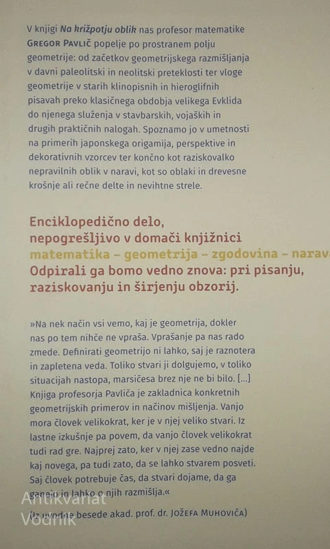 NA KRIŽPOTJU OBLIK; GEOMETRIJA SKOZI ČAS, Gregor Pavlič