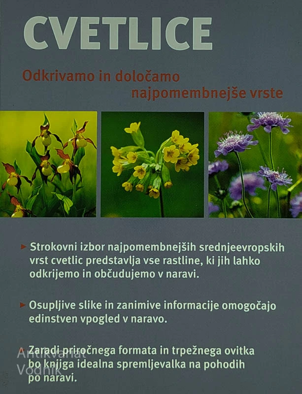CVETLICE, Angelika Lang