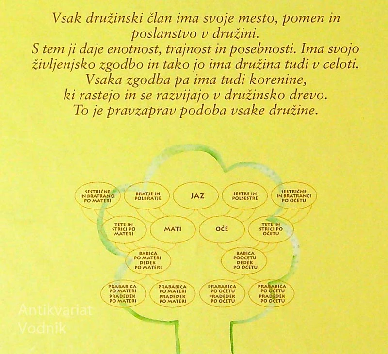 NAŠE DRUŽINSKO DREVO, Barbara Bogataj