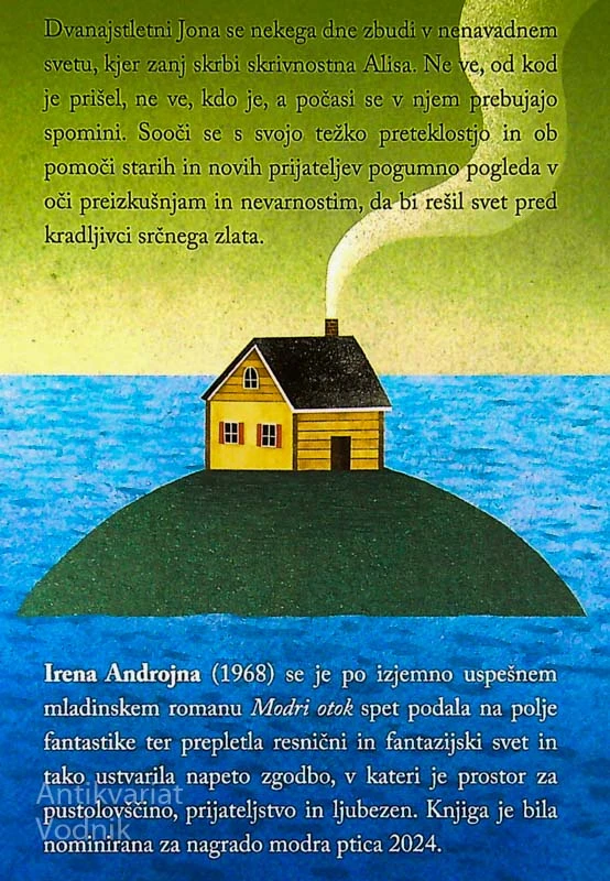 JONA NA KRIŽIŠČU SVETOV, Irena ANDROJNA
