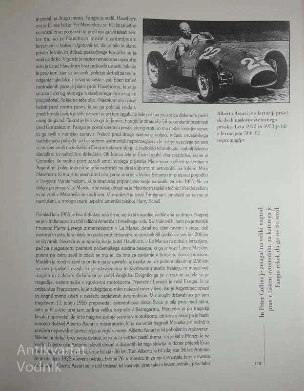 SKRIVNOST ČRNEGA VRANCA, Miran Ališič