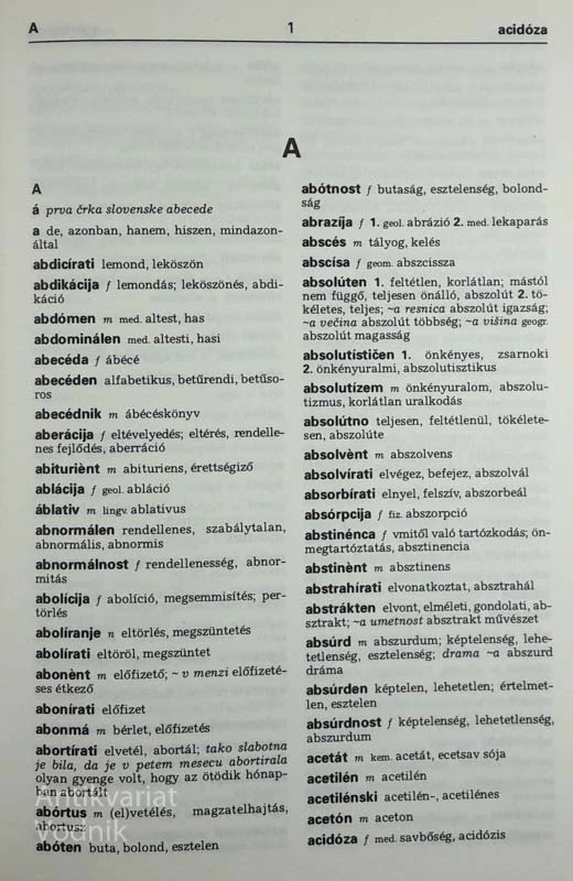 SLOVENSKO – MADŽARSKI SLOVAR, Hradil