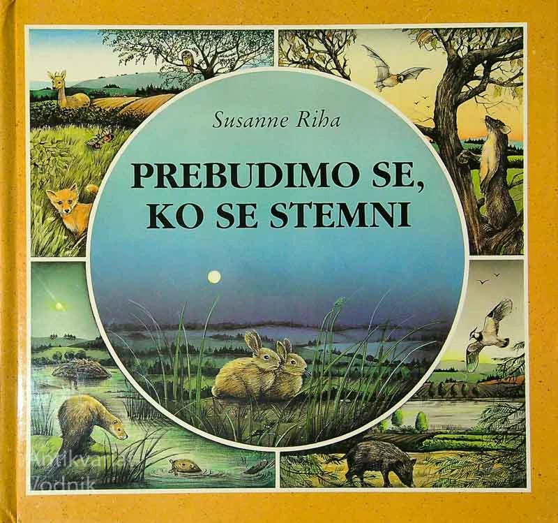 PREBUDIMO SE, KO SE STEMNI, Susanne Riha