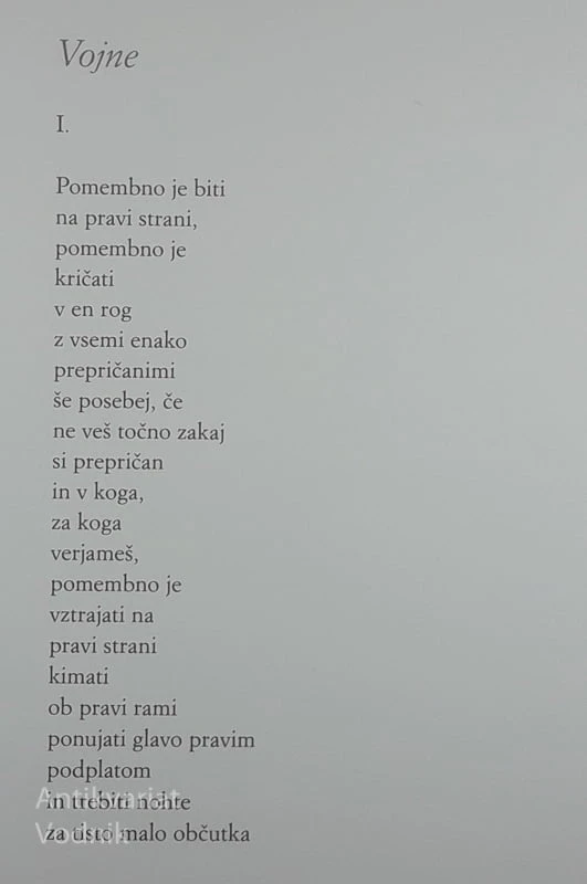 STENA SRCA, Valentina Plaskan
