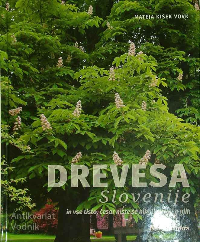 DREVESA SLOVENIJE IN VSE TISTO, ČESAR NISTE ŠE NIKOLI SLIŠALI