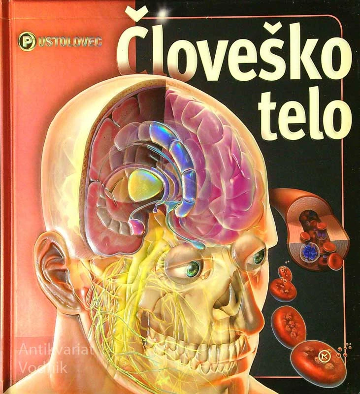 ČLOVEŠKO TELO