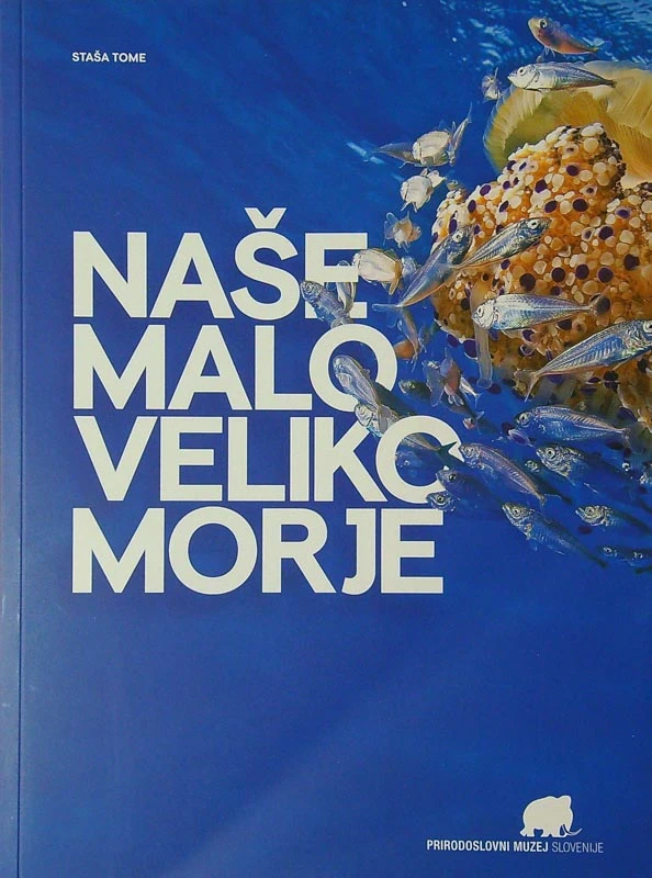 NAŠE MALO VELIKO MORJE, Saša Tome