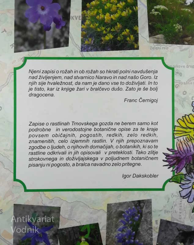 RASTEJO PRI NAS: RASTLINE TRNOVSKEGA GOZDA, Elvica Velikonja