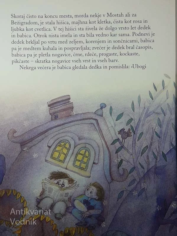ŽOGICA NOGICA, Jan Malik5