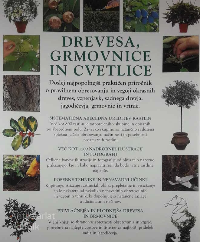 DREVESA, GRMOVNICE IN CVETLICE, Christopher Brickell