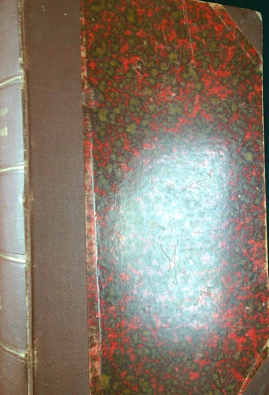 DEUTSCHE SLOVENISCHES WÖRTERBUCH, Anton Alois Wolf (1. knjiga)