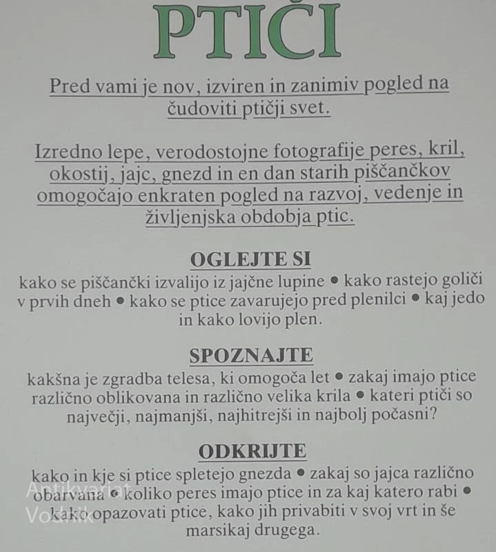 PTIČI, David Burnie