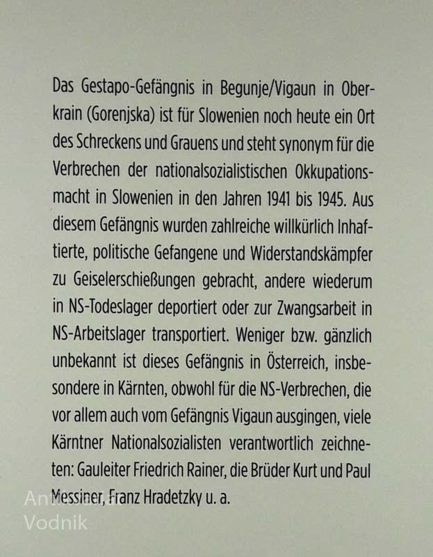 DAS GESTAPOGEFAENGIS, Stane Šinkovec