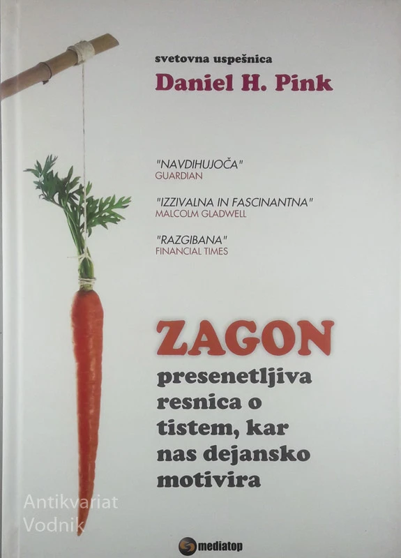 ZAGON; PRESENETLJIVA RESNICA O TISTEM, KAR NAS DEJANSKO MOTIVIRA, Daniel H. Pink